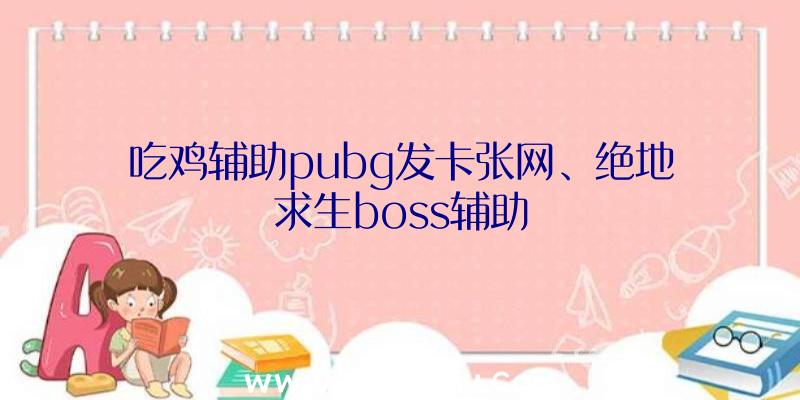 吃鸡辅助pubg发卡张网、绝地求生boss辅助