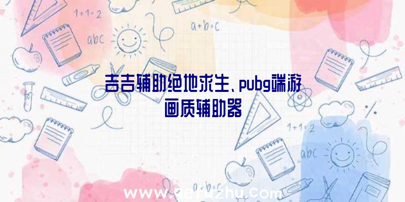 吉吉辅助绝地求生、pubg端游画质辅助器