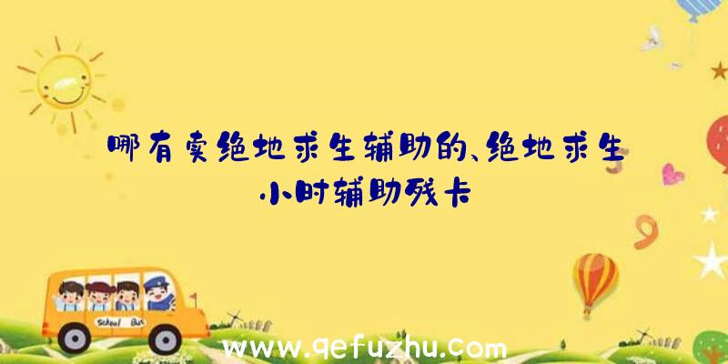 哪有卖绝地求生辅助的、绝地求生小时辅助残卡