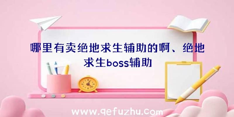 哪里有卖绝地求生辅助的啊、绝地求生boss辅助