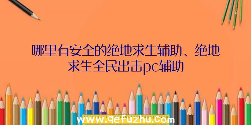 哪里有安全的绝地求生辅助、绝地求生全民出击pc辅助