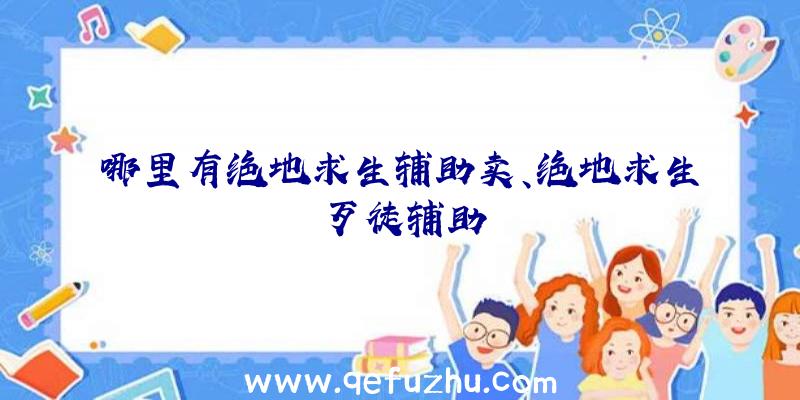 哪里有绝地求生辅助卖、绝地求生歹徒辅助