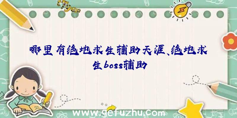 哪里有绝地求生辅助天涯、绝地求生boss辅助