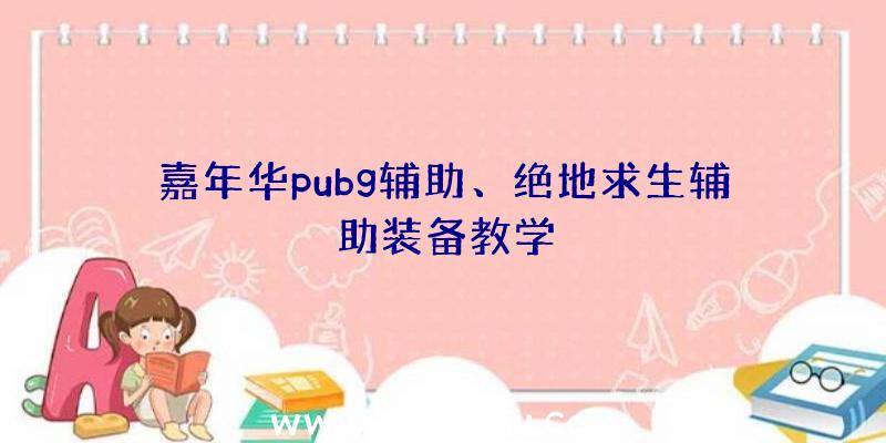 嘉年华pubg辅助、绝地求生辅助装备教学