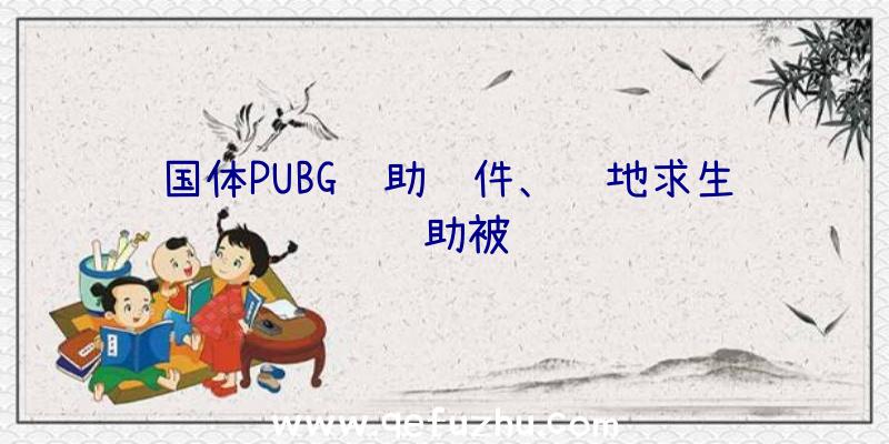 国体PUBG辅助软件、绝地求生辅助被骗