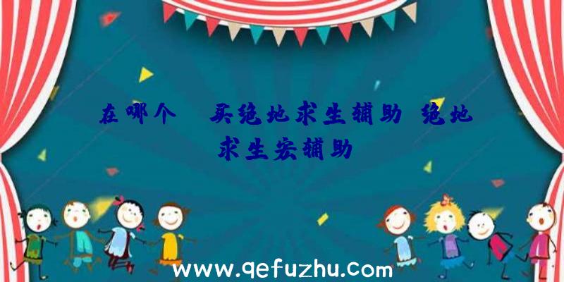 在哪个yy买绝地求生辅助、绝地求生宏辅助