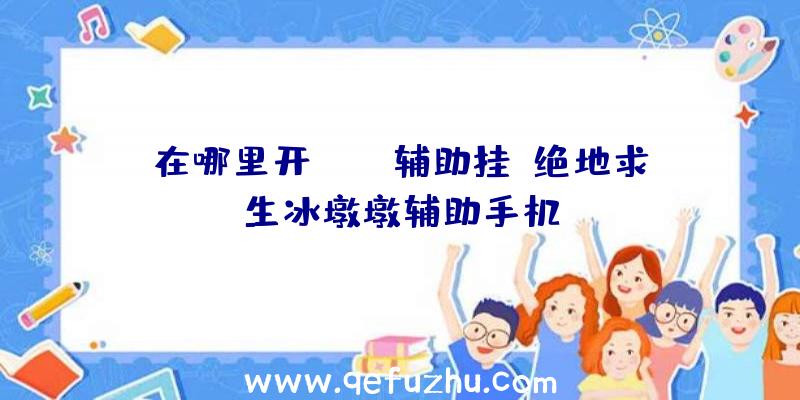 在哪里开pubg辅助挂、绝地求生冰墩墩辅助手机