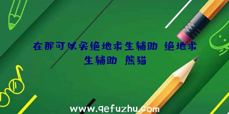 在那可以买绝地求生辅助、绝地求生辅助