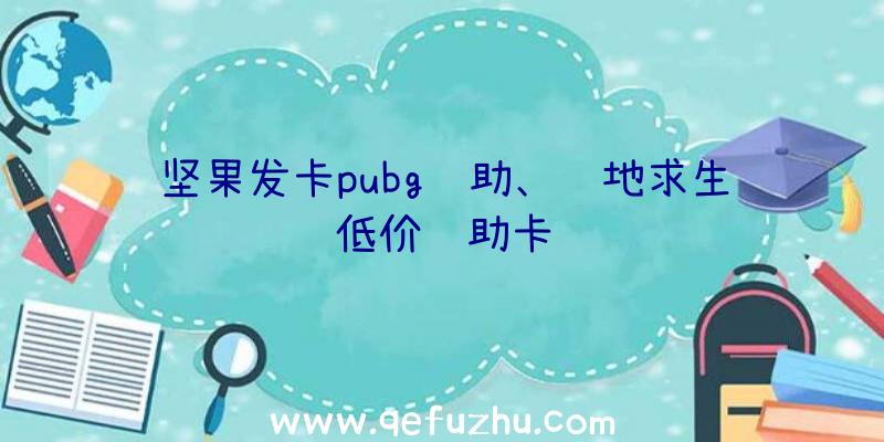 坚果发卡pubg辅助、绝地求生低价辅助卡