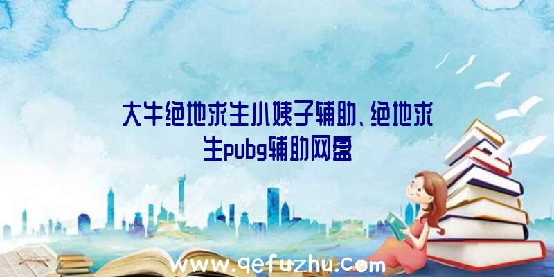 大牛绝地求生小姨子辅助、绝地求生pubg辅助网盘