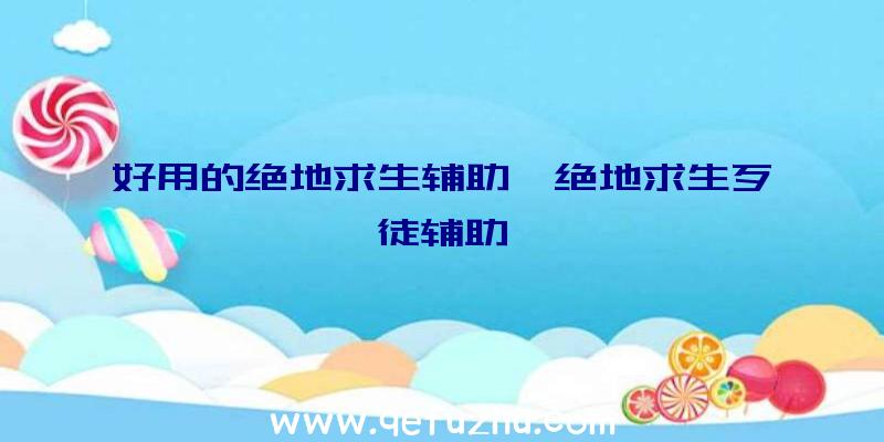 好用的绝地求生辅助、绝地求生歹徒辅助