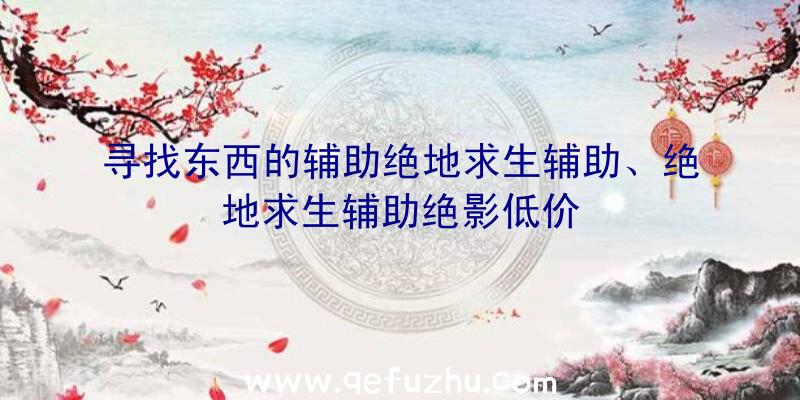 寻找东西的辅助绝地求生辅助、绝地求生辅助绝影低价