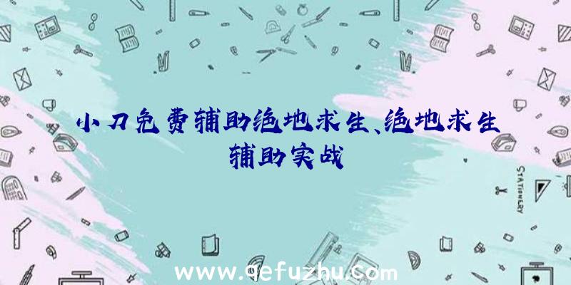 小刀免费辅助绝地求生、绝地求生辅助实战