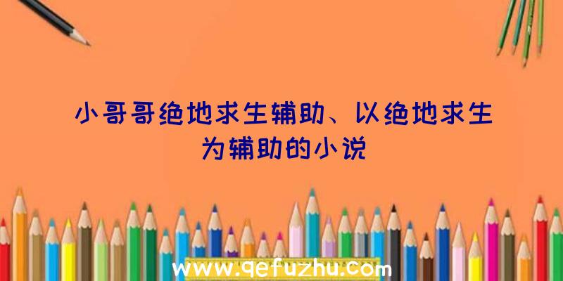 小哥哥绝地求生辅助、以绝地求生为辅助的小说