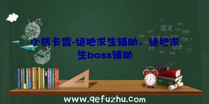 小熊卡盟-绝地求生辅助、绝地求生boss辅助