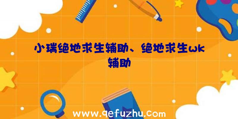 小瑞绝地求生辅助、绝地求生wk辅助