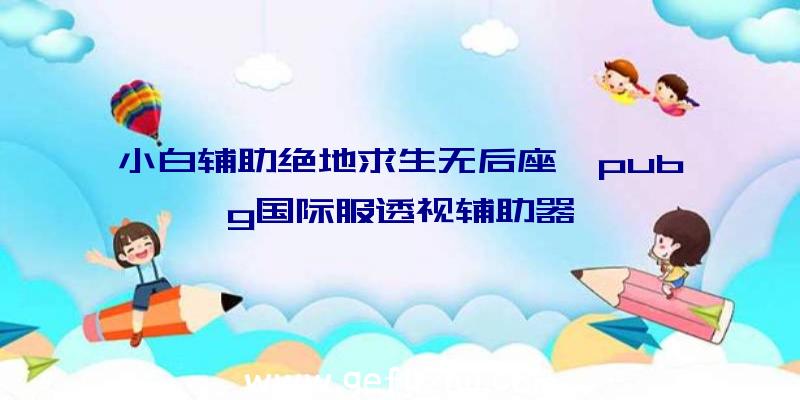 小白辅助绝地求生无后座、pubg国际服透视辅助器