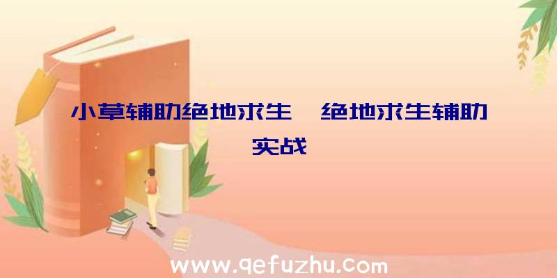 小草辅助绝地求生、绝地求生辅助实战