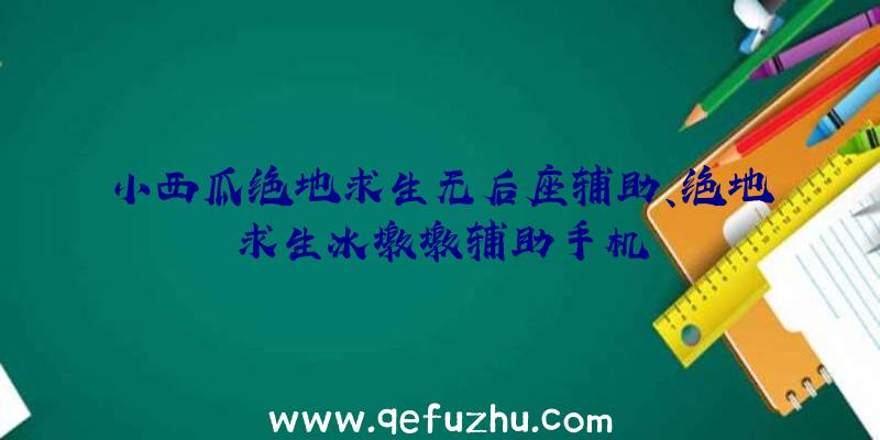 小西瓜绝地求生无后座辅助、绝地求生冰墩墩辅助手机