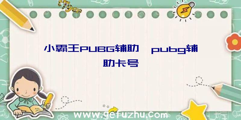 小霸王PUBG辅助、pubg辅助卡号