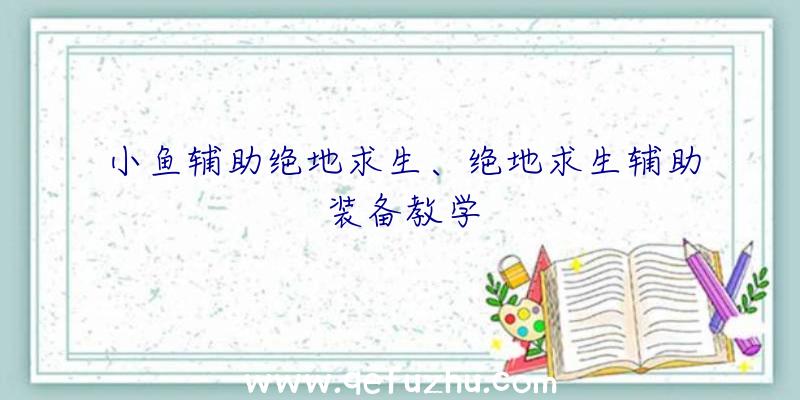 小鱼辅助绝地求生、绝地求生辅助装备教学