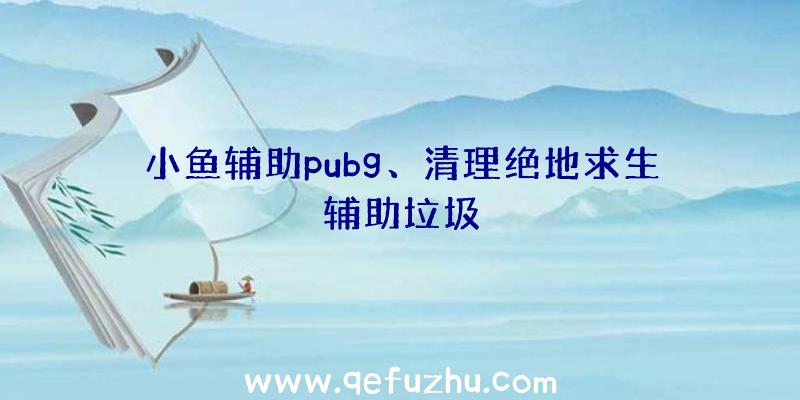 小鱼辅助pubg、清理绝地求生辅助垃圾