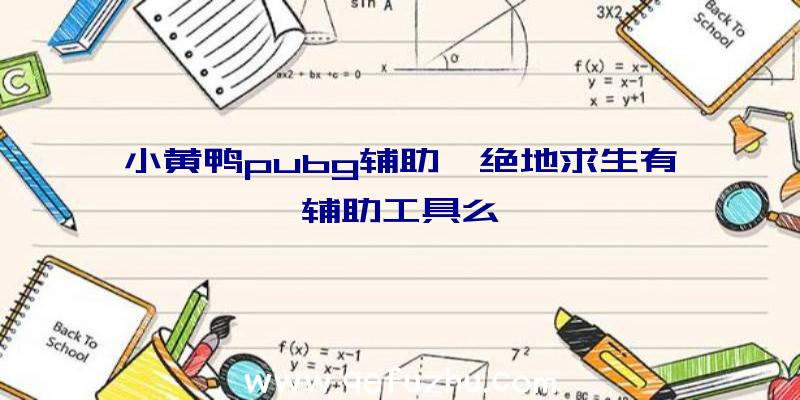 小黄鸭pubg辅助、绝地求生有辅助工具么