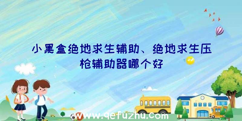 小黑盒绝地求生辅助、绝地求生压枪辅助器哪个好