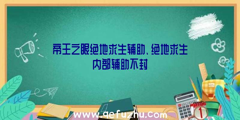 帝王之眼绝地求生辅助、绝地求生内部辅助不封