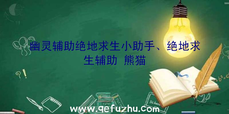 幽灵辅助绝地求生小助手、绝地求生辅助