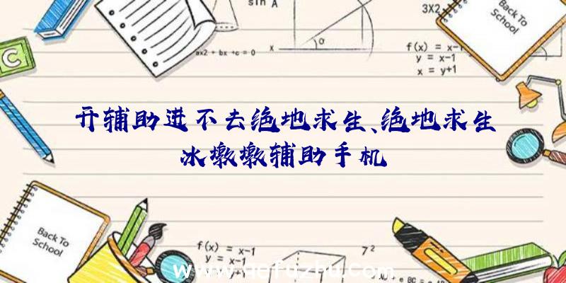 开辅助进不去绝地求生、绝地求生冰墩墩辅助手机