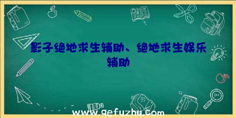 影子绝地求生辅助、绝地求生娱乐辅助