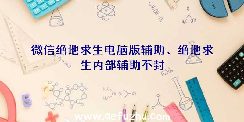 微信绝地求生电脑版辅助、绝地求生内部辅助不封