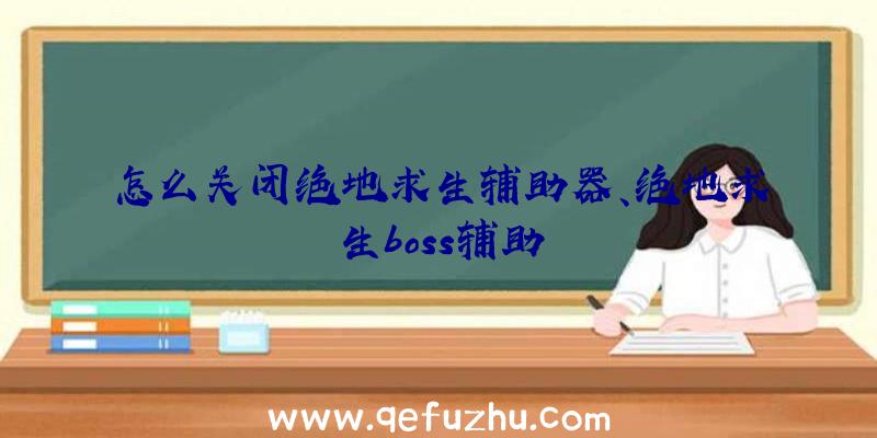 怎么关闭绝地求生辅助器、绝地求生boss辅助