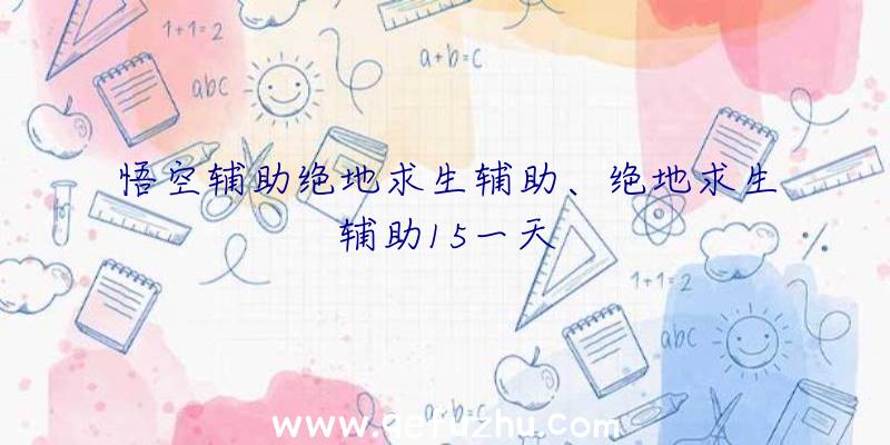 悟空辅助绝地求生辅助、绝地求生辅助15一天