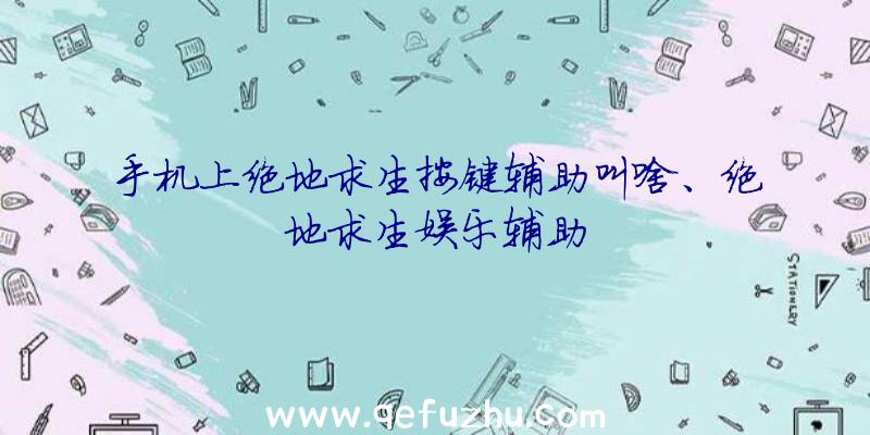 手机上绝地求生按键辅助叫啥、绝地求生娱乐辅助