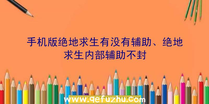 手机版绝地求生有没有辅助、绝地求生内部辅助不封