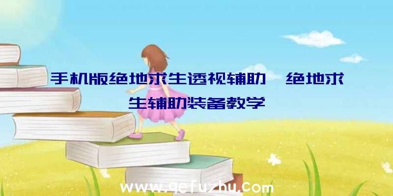 手机版绝地求生透视辅助、绝地求生辅助装备教学