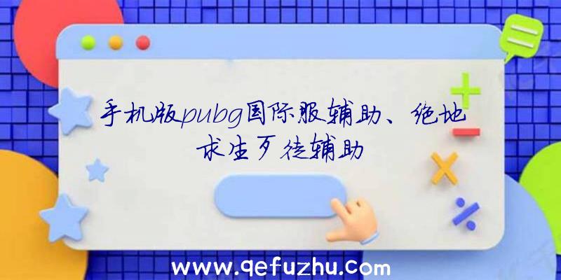 手机版pubg国际服辅助、绝地求生歹徒辅助