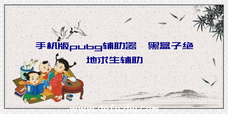 手机版pubg辅助器、黑盒子绝地求生辅助