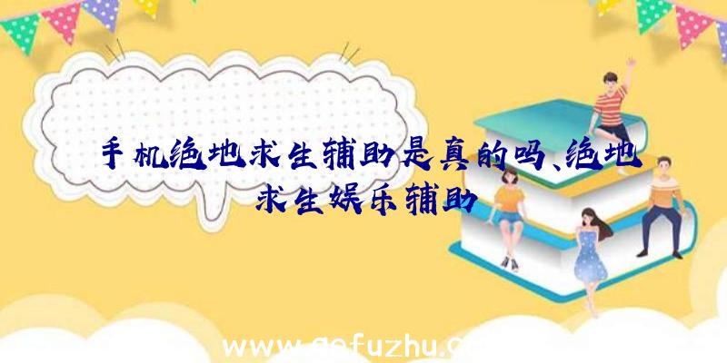 手机绝地求生辅助是真的吗、绝地求生娱乐辅助