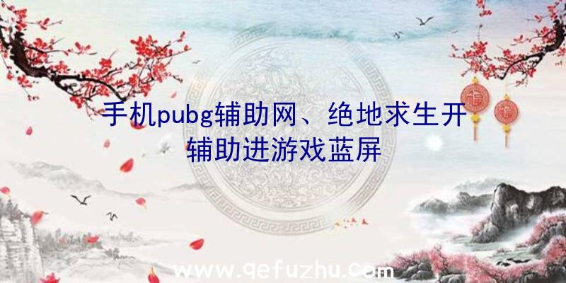 手机pubg辅助网、绝地求生开辅助进游戏蓝屏