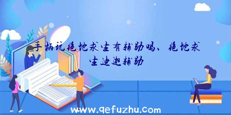 手柄玩绝地求生有辅助吗、绝地求生迪迦辅助