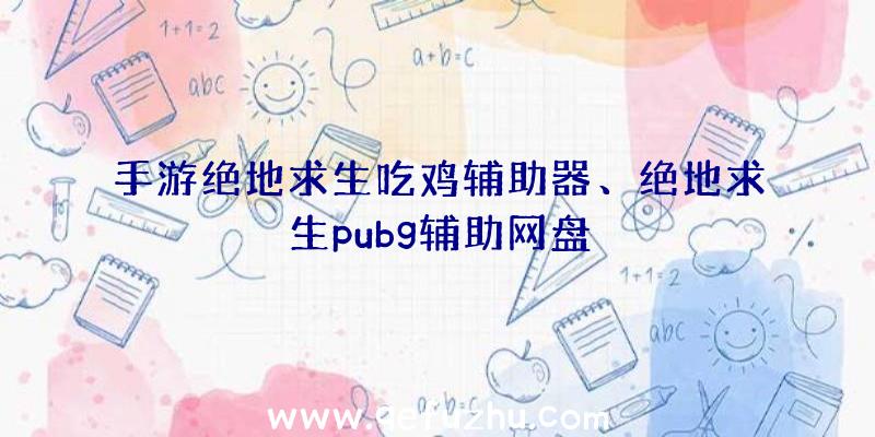 手游绝地求生吃鸡辅助器、绝地求生pubg辅助网盘