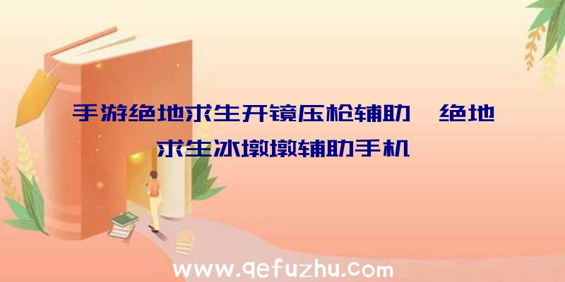 手游绝地求生开镜压枪辅助、绝地求生冰墩墩辅助手机