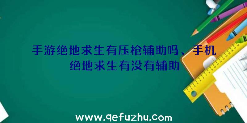 手游绝地求生有压枪辅助吗、手机绝地求生有没有辅助