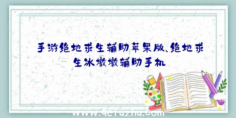 手游绝地求生辅助苹果版、绝地求生冰墩墩辅助手机