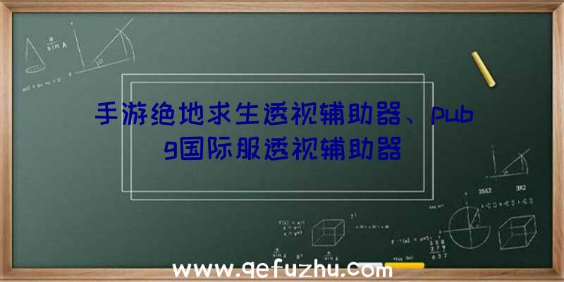 手游绝地求生透视辅助器、pubg国际服透视辅助器