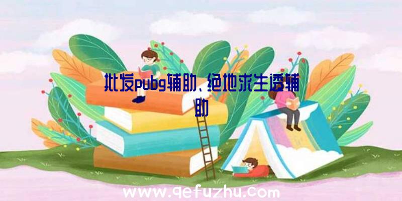 批发pubg辅助、绝地求生透辅助