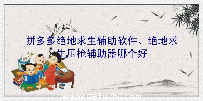 拼多多绝地求生辅助软件、绝地求生压枪辅助器哪个好